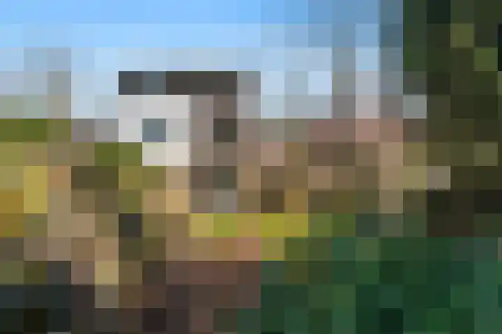 De Buitentuin 12 Apeldoorn thumbnail 28