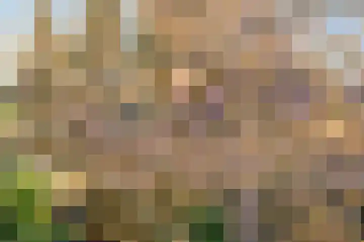 De Buitentuin 12 Apeldoorn thumbnail 33