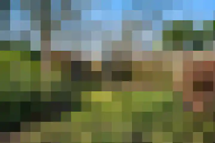 De Buitentuin 12 Apeldoorn thumbnail 44