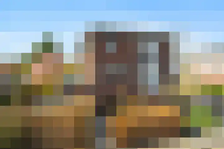 De Buitentuin 12 Apeldoorn thumbnail 47