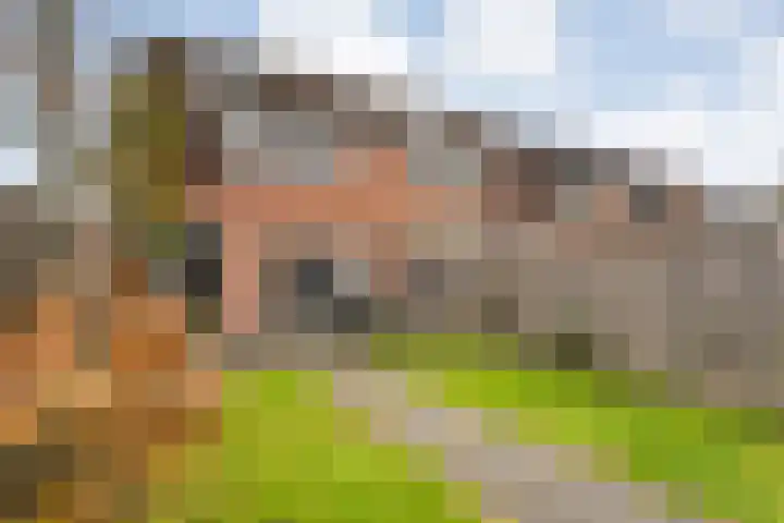 De Buizerd 17 Almelo thumbnail 24