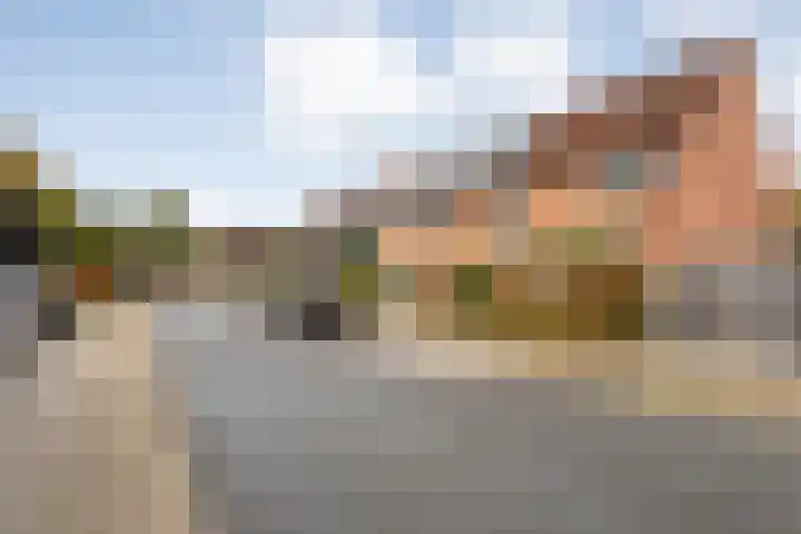 De Buizerd 17 Almelo thumbnail 25