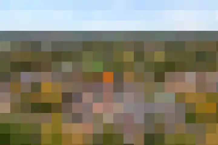 De Buizerd 17 Almelo thumbnail 27