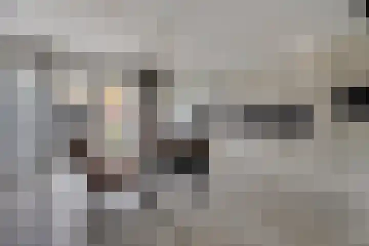 De Buizerd 17 Almelo thumbnail 8