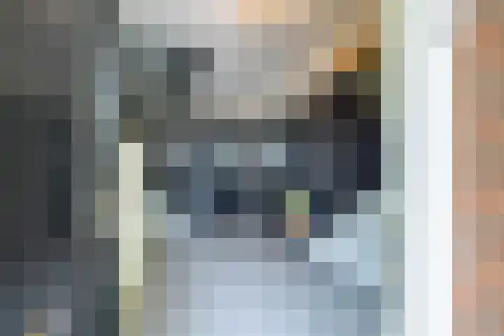 De Buizerd 85 Almelo thumbnail 4