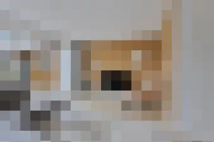 De Bunder 4 Oentsjerk thumbnail 11