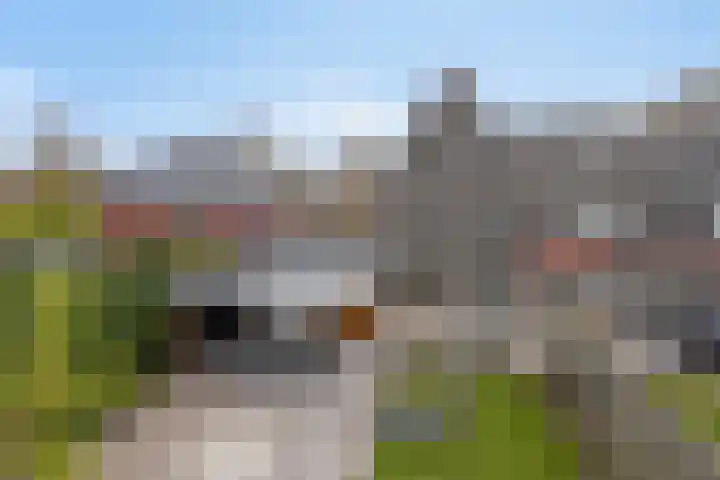 De Bunder 4 Oentsjerk thumbnail 33