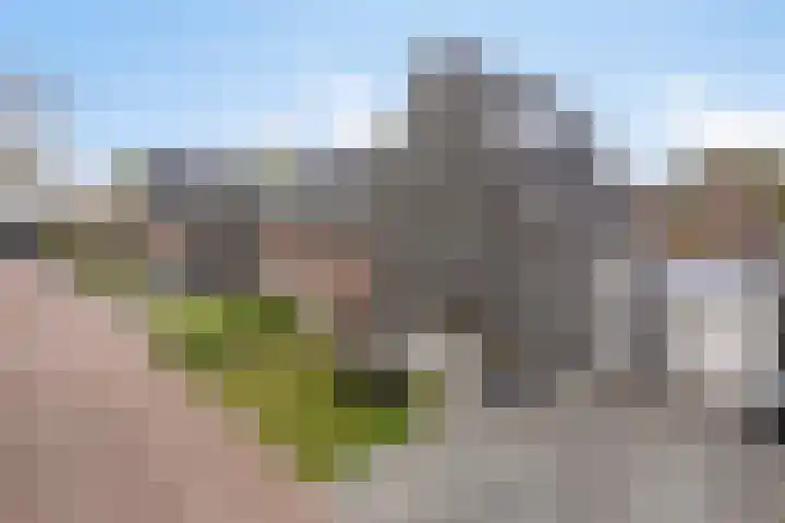 De Bunder 4 Oentsjerk thumbnail 4