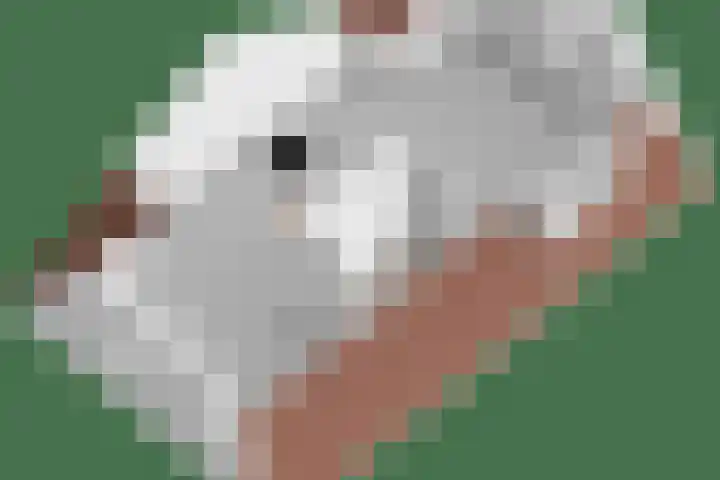 De Bunder 4 Oentsjerk thumbnail 42