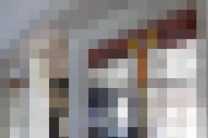 De Bunte 57 Vroomshoop thumbnail 14