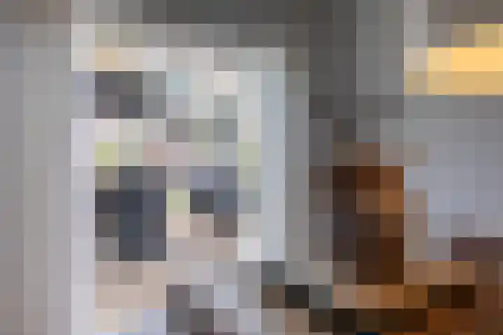 De Bunte 57 Vroomshoop thumbnail 22