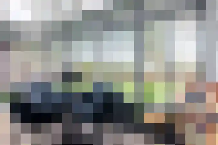 De Bunte 57 Vroomshoop thumbnail 23