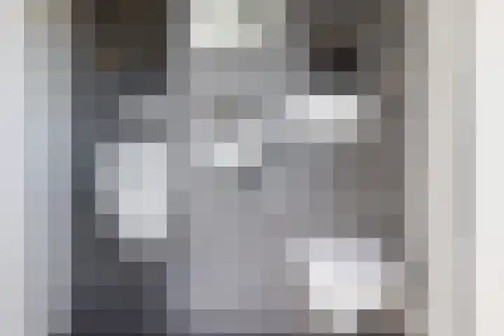 De Bunte 57 Vroomshoop thumbnail 27