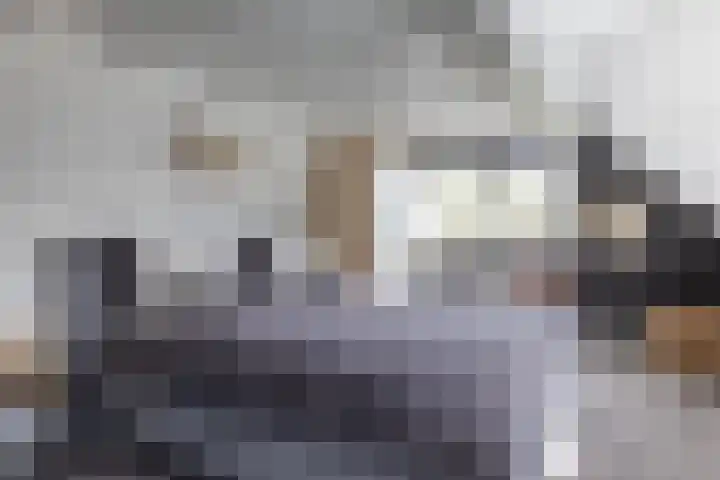 De Bunte 57 Vroomshoop thumbnail 33
