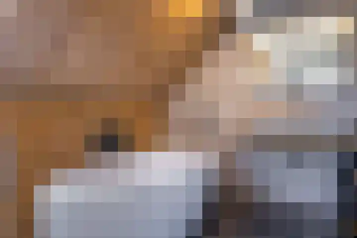 De Bunte 57 Vroomshoop thumbnail 34
