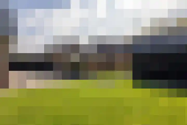 De Bunte 57 Vroomshoop thumbnail 43