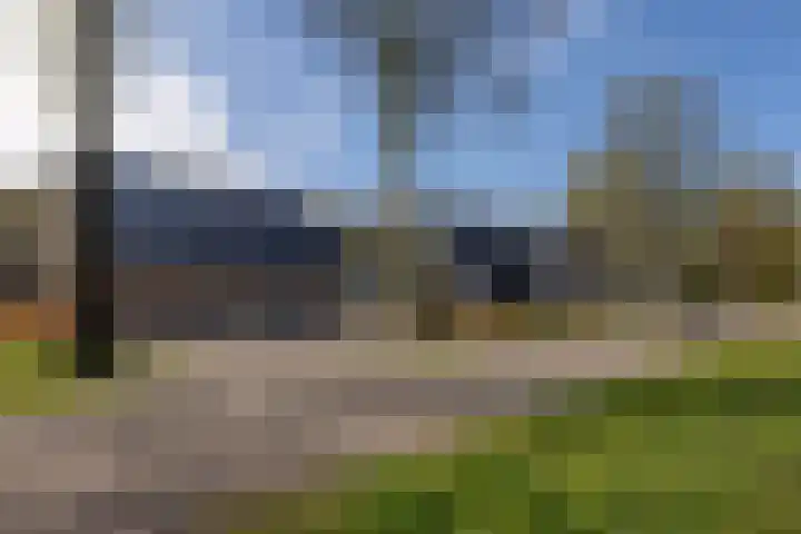 De Bunte 57 Vroomshoop thumbnail 49