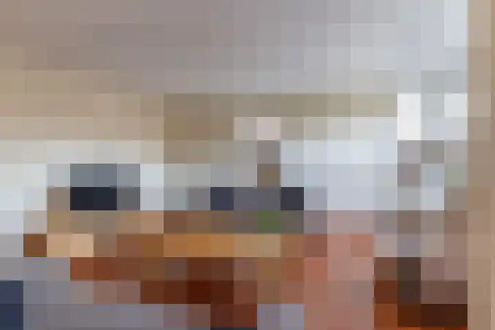 De Bunte 9 Vroomshoop thumbnail 10