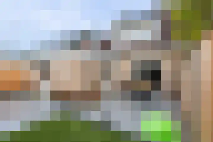 De Bunte 9 Vroomshoop foto 2