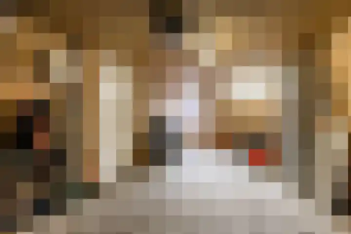 De Bunte 9 Vroomshoop thumbnail 22