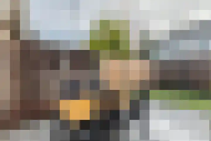 De Bunte 9 Vroomshoop thumbnail 30