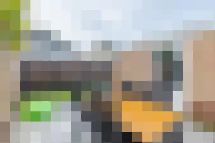 De Bunte 9 Vroomshoop thumbnail 31