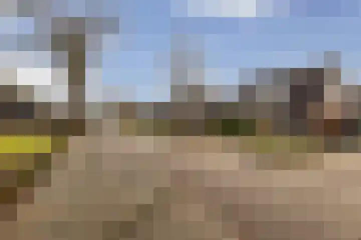 De Bunte 9 Vroomshoop thumbnail 37