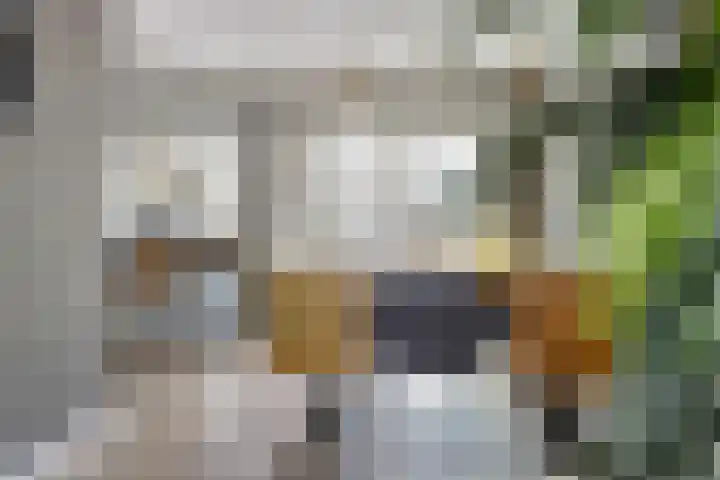 De Burcht 2 Yerseke thumbnail 11