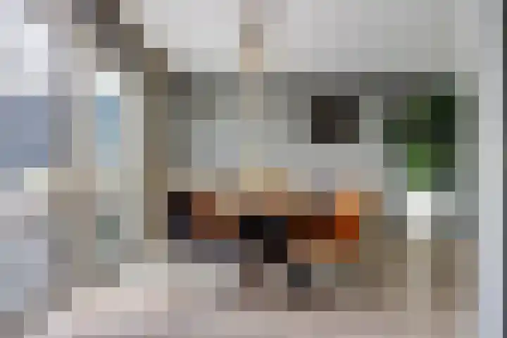 De Burcht 2 Yerseke thumbnail 12