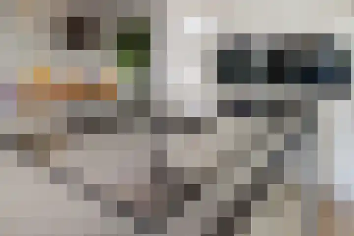 De Burcht 2 Yerseke thumbnail 15