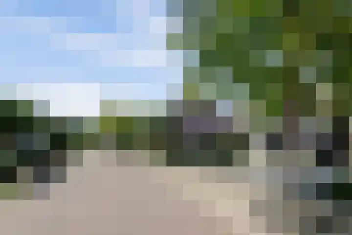 De Burcht 2 Yerseke foto 3