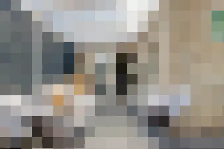 De Burcht 2 Yerseke thumbnail 31