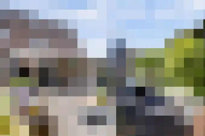 De Burcht 2 Yerseke thumbnail 37