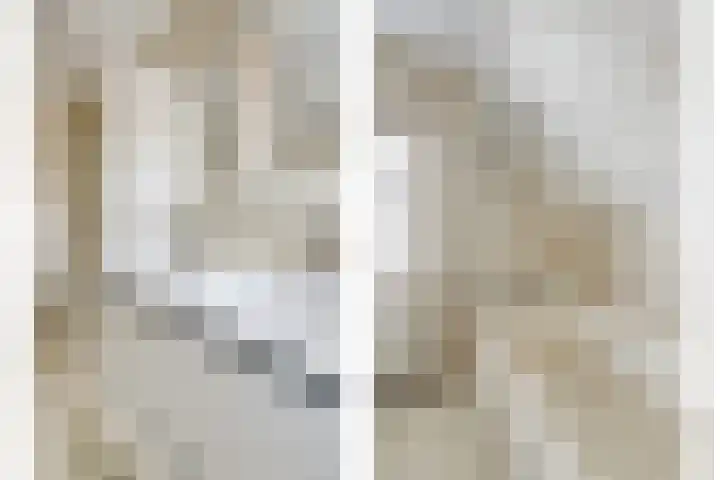 De Burcht 2 Yerseke thumbnail 38