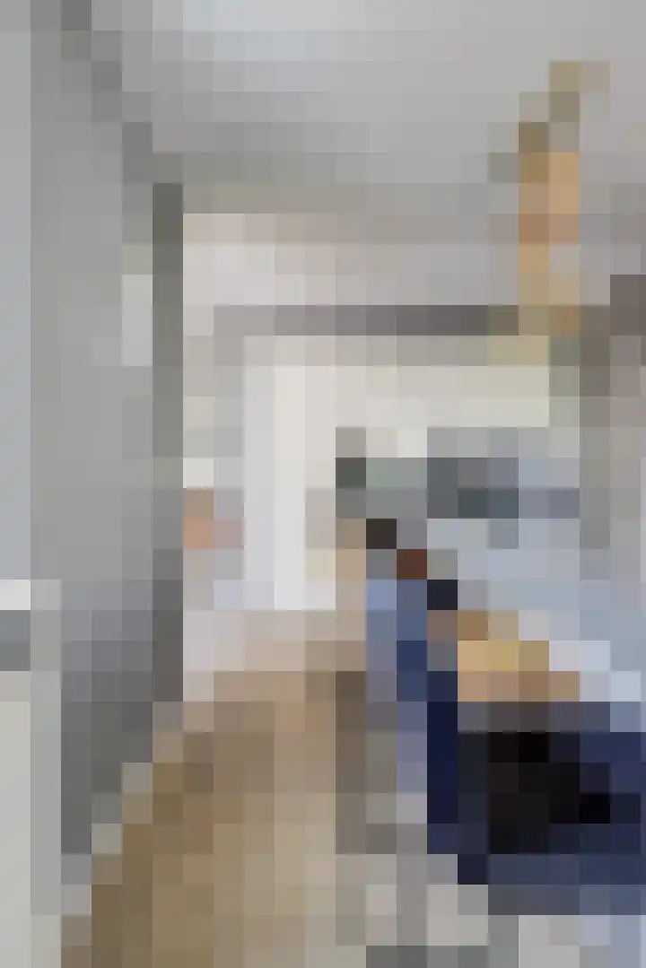 De Burcht 2 Yerseke thumbnail 46