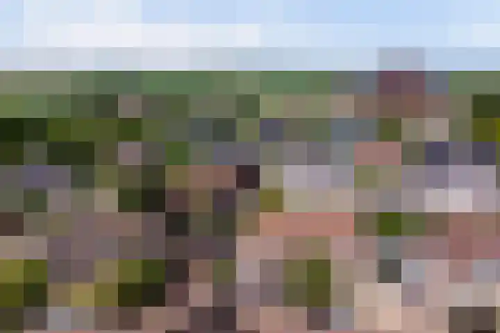 De Burcht 2 Yerseke thumbnail 47