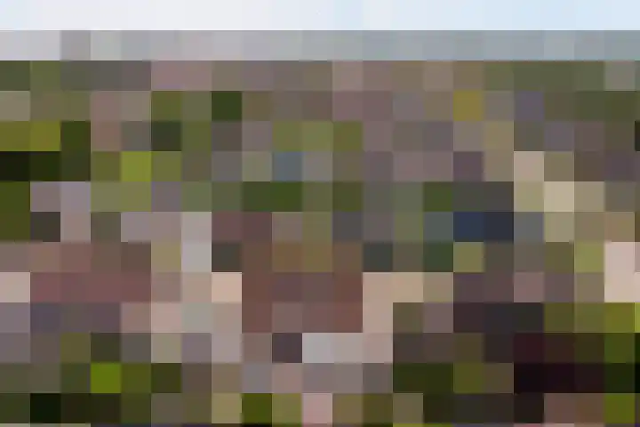 De Burcht 2 Yerseke thumbnail 49
