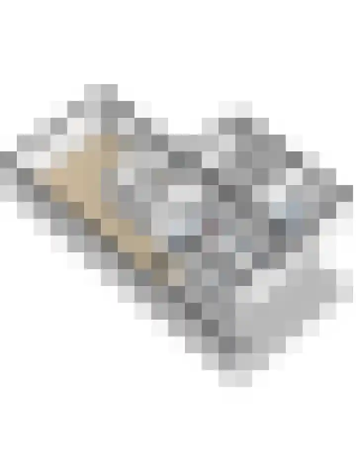 De Burcht 2 Yerseke thumbnail 54