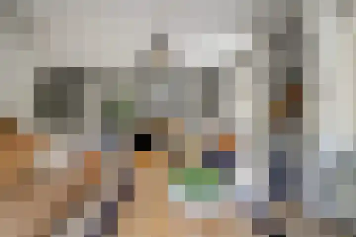 De Burcht 2 Yerseke thumbnail 8