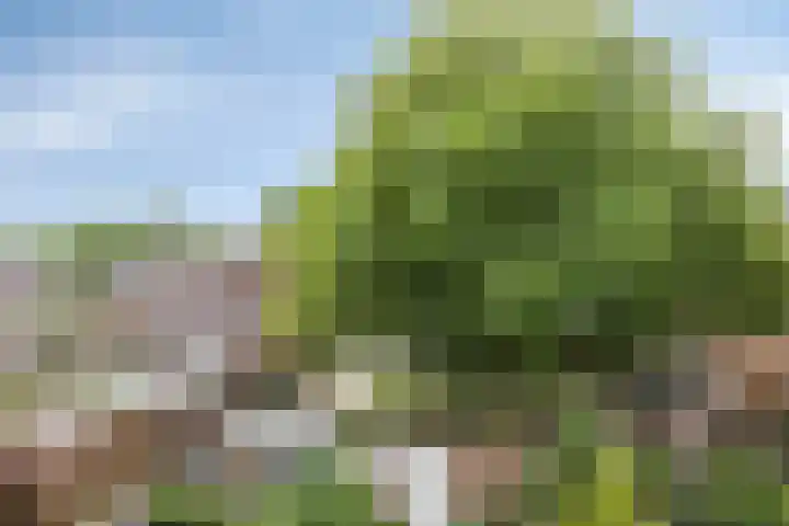 De Burcht 38 Arnhem thumbnail 16