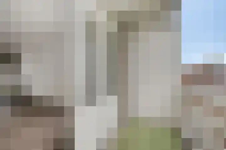 De Burcht 38 Arnhem thumbnail 18