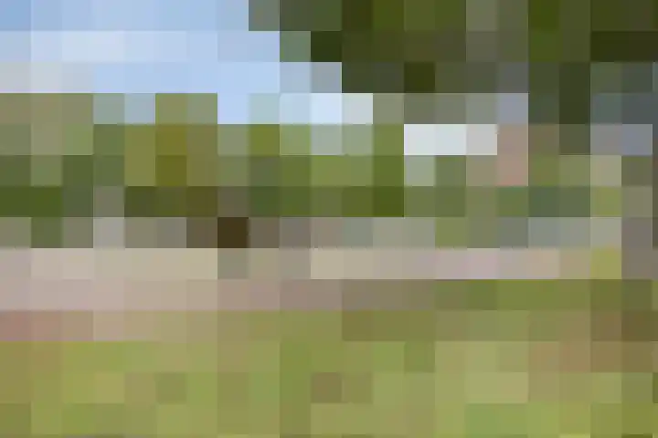 De Burcht 38 Arnhem thumbnail 20