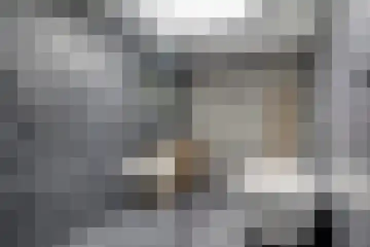 De Burcht 44 Purmerend thumbnail 36