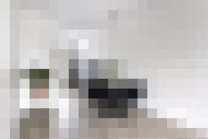 De Burcht 44 Purmerend thumbnail 7