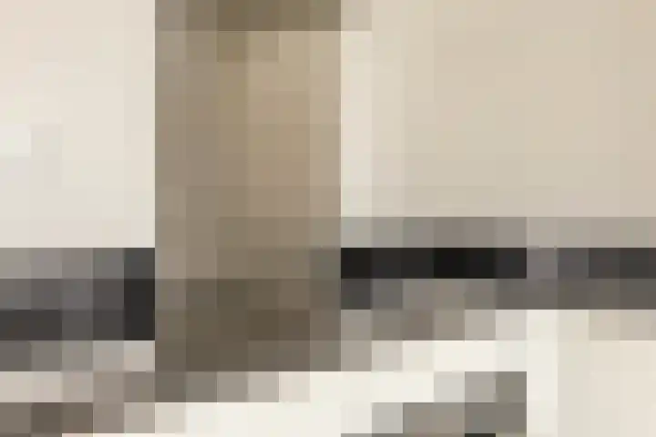 De Burcht 44 Purmerend thumbnail 9