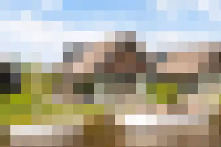 De Burd 25 B 004 Heeg