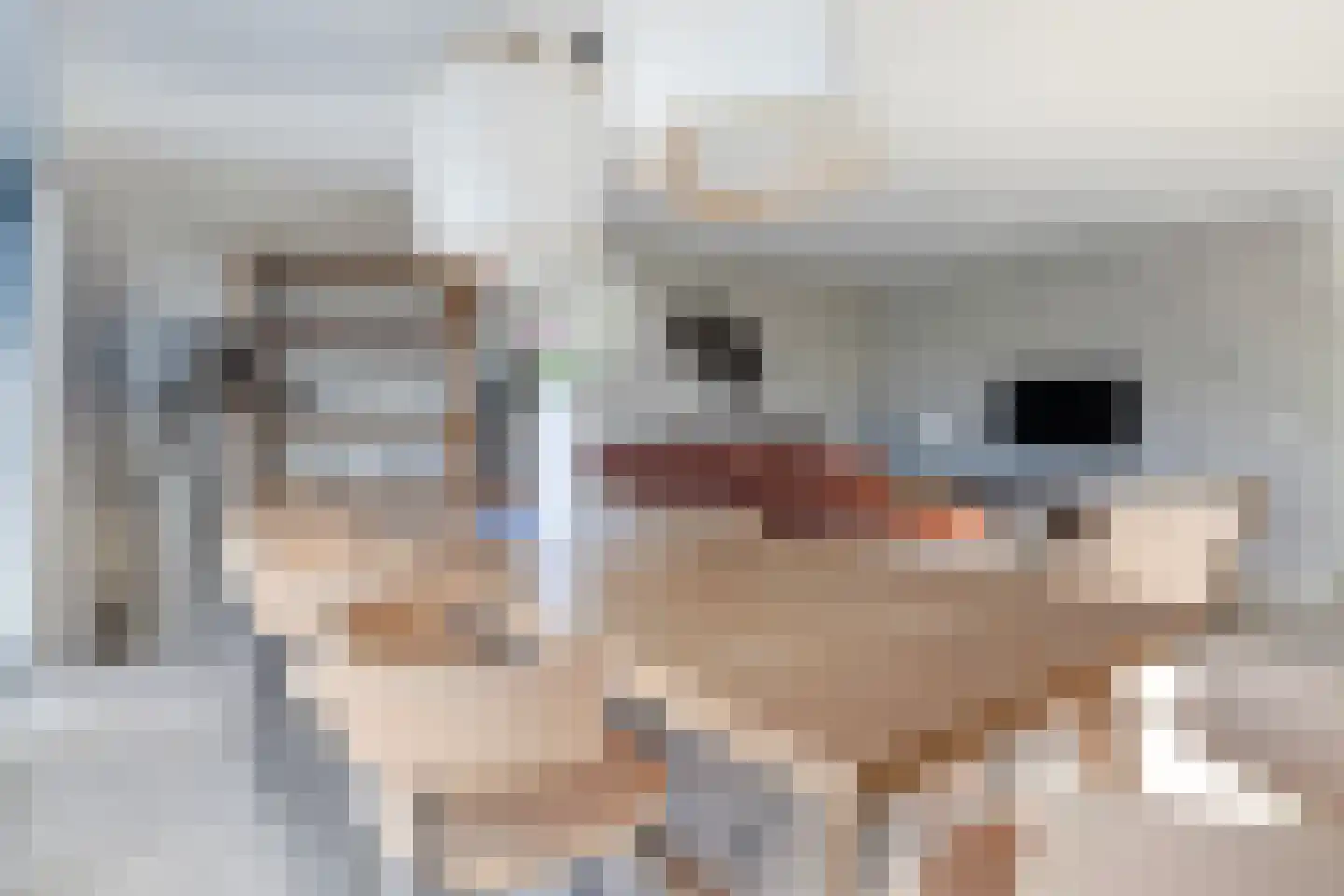 De Burd 25 B 012 Heeg thumbnail 12
