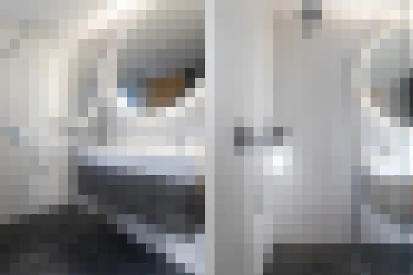 De Burd 25 B 012 Heeg thumbnail 17