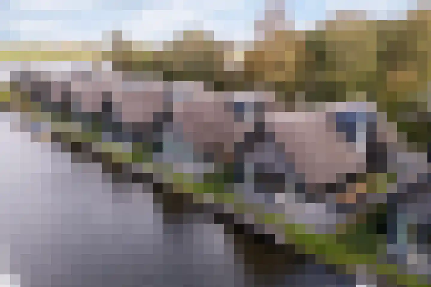 De Burd 25 B 012 Heeg thumbnail 42