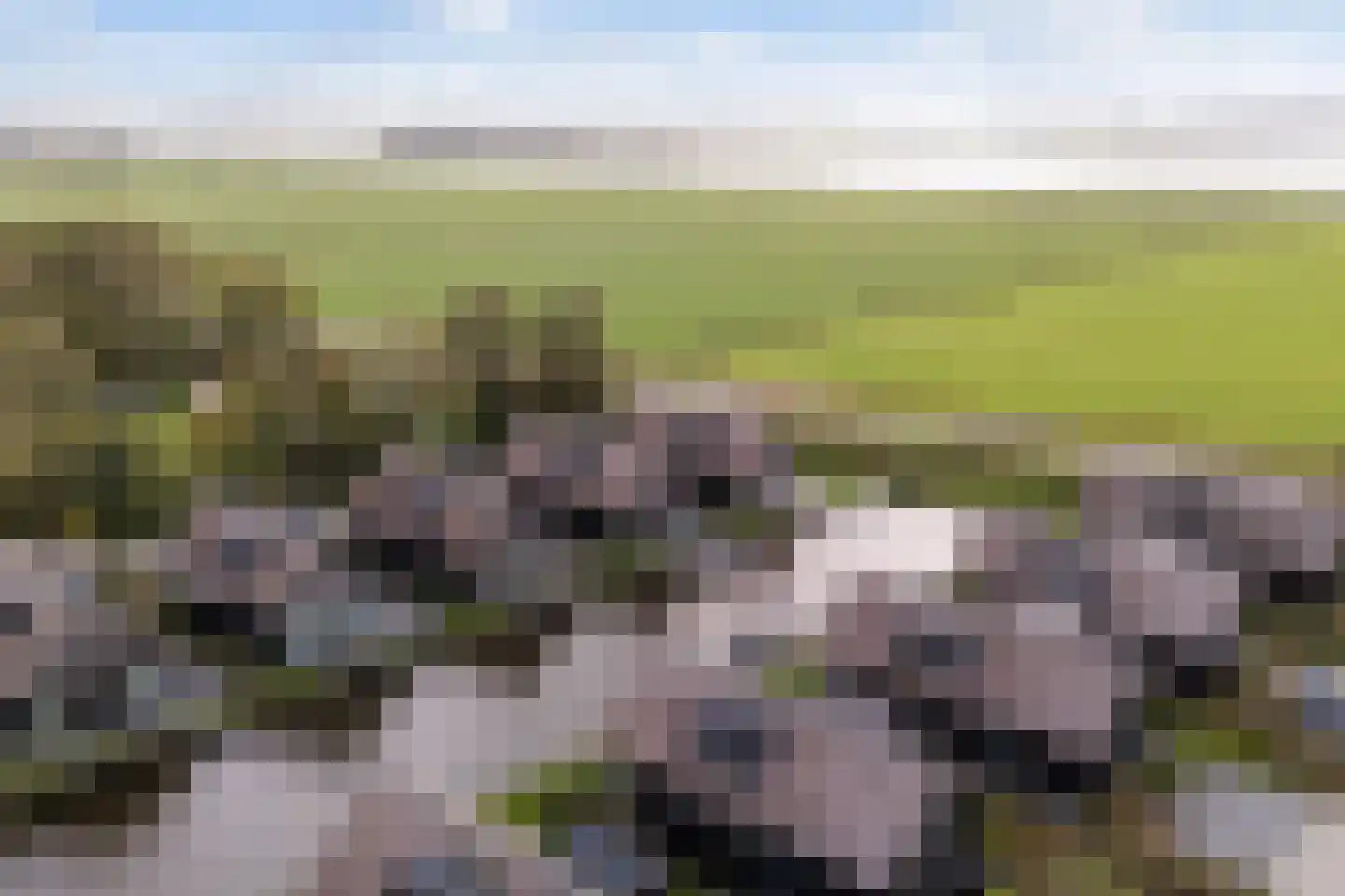 De Burd 25 B 012 Heeg thumbnail 44